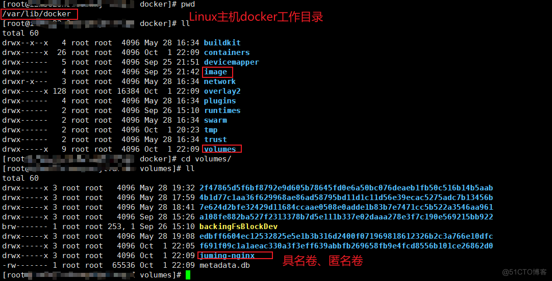 Docker | 容器数据卷详解_docker_11