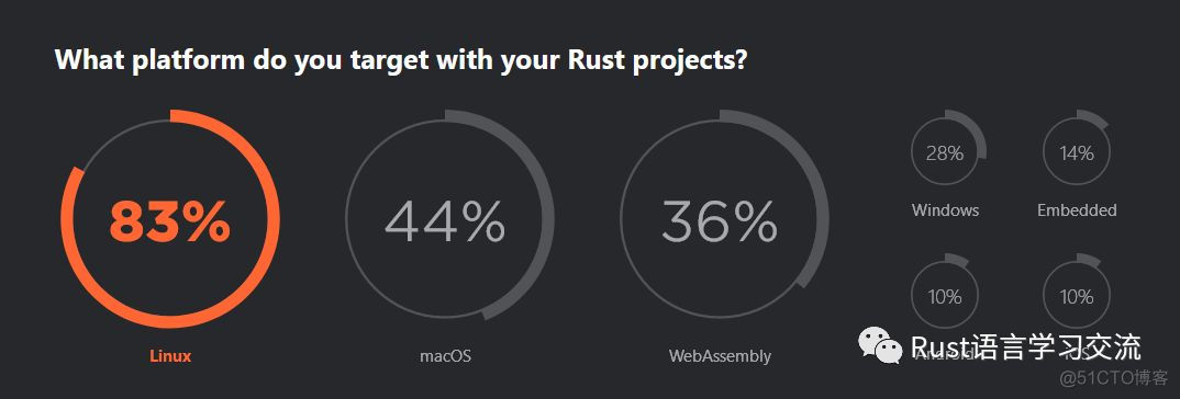 【Rust日报】 2019-06-13：重磅：Jetbrains 发布了 Rust 2019 生态报告_生命周期_06