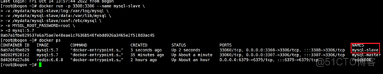 docker高级篇1-dockeran安装mysql主从复制_docker_04