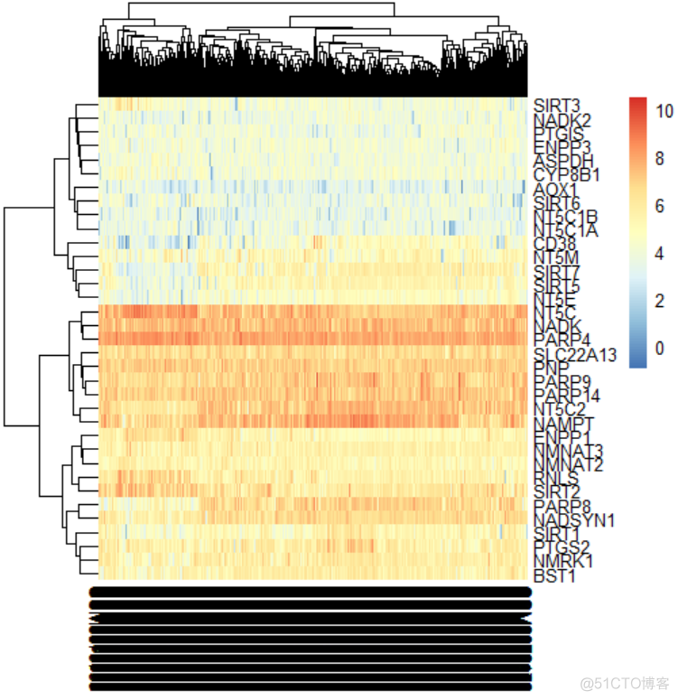 巧用热图展示基因分布的总体趋势_聚类_02