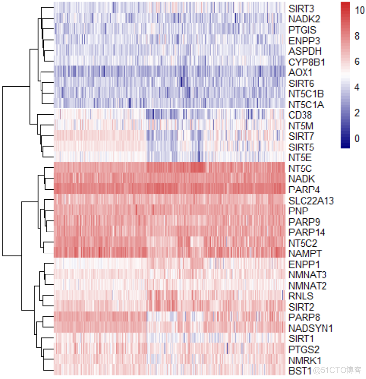 巧用热图展示基因分布的总体趋势_数据_03