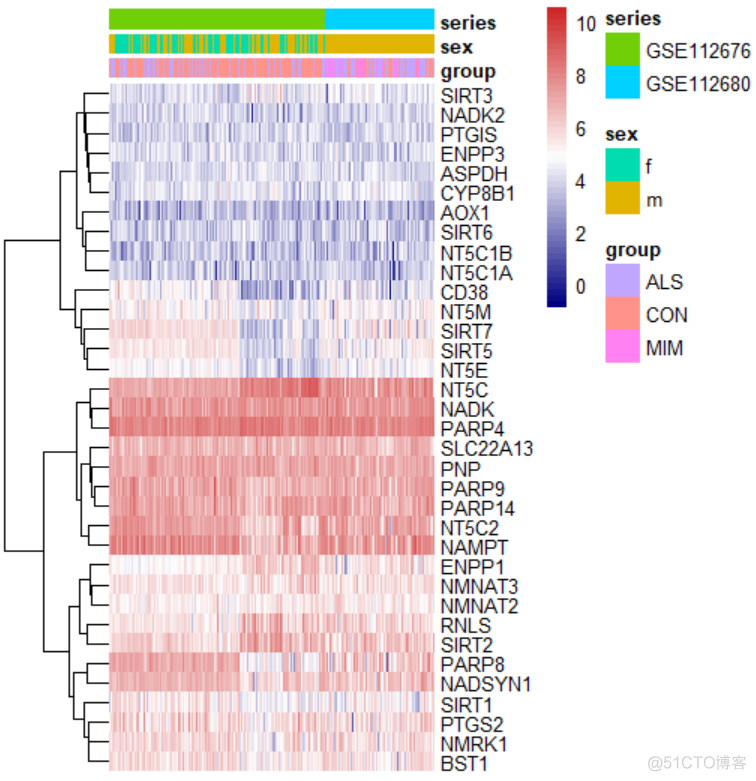 巧用热图展示基因分布的总体趋势_数据分析_04