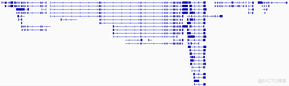 玩转基因组浏览器之使用IGV查看基因结构信息_数据分析_03