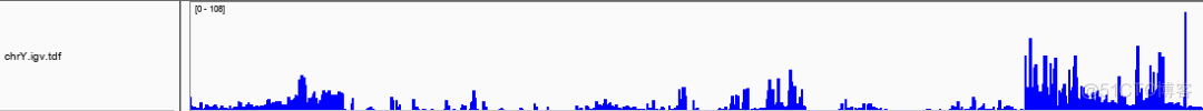 玩转基因组浏览器之初识IGV_数据分析_06