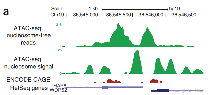 引用2115次的ATAC经典论文解读_数据分析_08