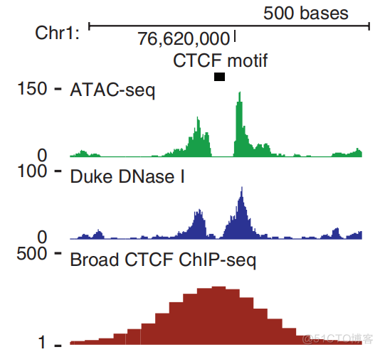 引用2115次的ATAC经典论文解读_数据分析_11