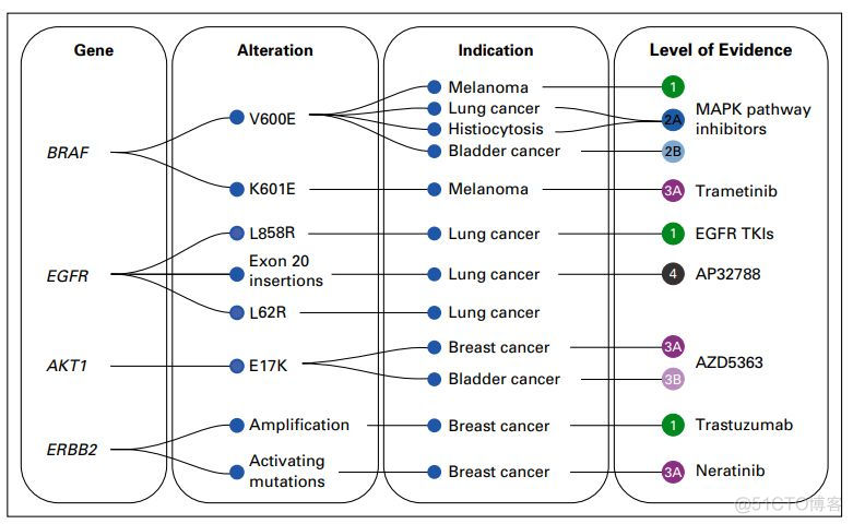 OncoKB:肿瘤药物靶点相关基因组变异数据库_github