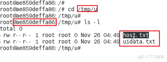 一篇文章教你实战Docker容器数据卷_Docker_14