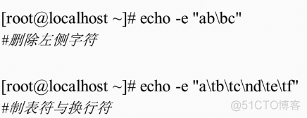 Shell 基础 —— Shell 脚本的执行方式_字符转换_02