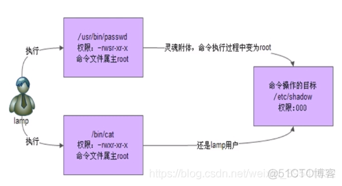 权限管理 —— 文件特殊权限_文件名_02