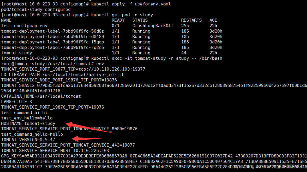 k8s-kubernetes-configmap_统一配置_11