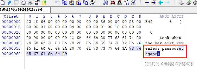 xctf攻防世界 MISC高手进阶区 Training-Stegano-1_位图_03