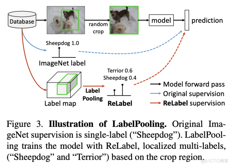 CVPR2021佳作 | 重新标记ImageNet：从全局标签到局部标签（附github代码及论文）_图像分类_06