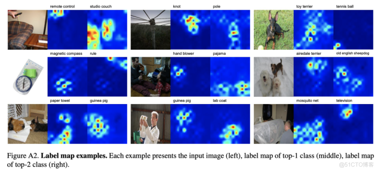 CVPR2021佳作 | 重新标记ImageNet：从全局标签到局部标签（附github代码及论文）_图像分类_09