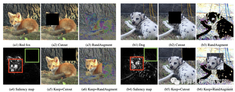 CVPR2021深度框架训练 | 不是所有数据增强都可以提升最终精度_计算机视觉_08