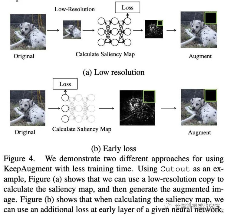 CVPR2021深度框架训练 | 不是所有数据增强都可以提升最终精度_计算机视觉_13