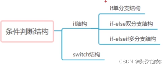 【Java入门】八 控制语句之选择结构-if结构和Switch结构_布尔表达式