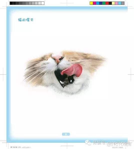 清新陶冶——可爱猫咪绘_微信