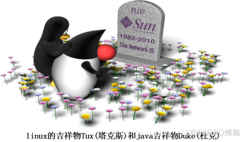 初识Java_java语言_24