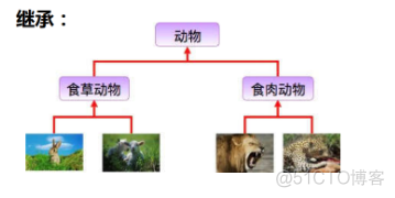 [Java基础] 面向对象的三大特征_子类