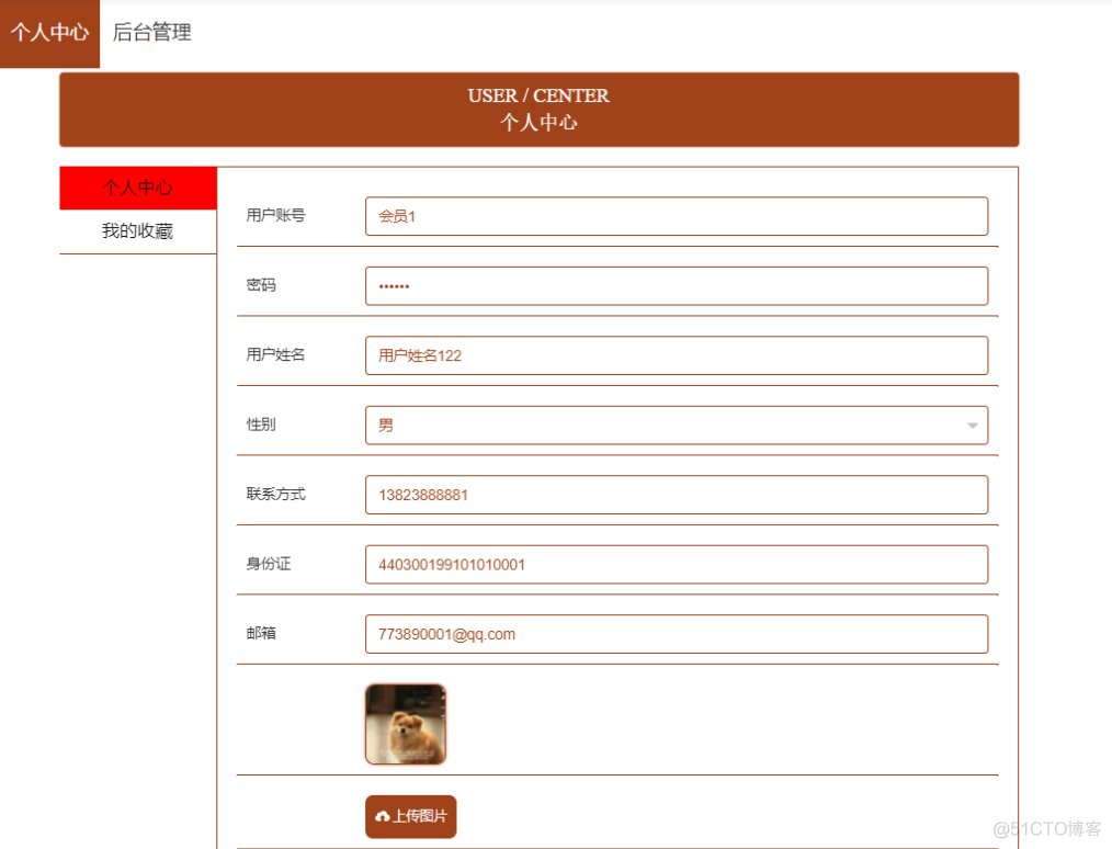 基于Java+SpringBoot+vue+element等动物救助平台设计和实现_spring boot_11