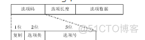 《ASCE1885的网络编程》---IP数据报格式_internet_09