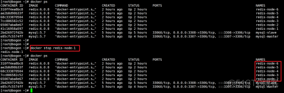 docker高级篇第二章-分布式存储之实战案例：主从容错切换迁移案例_Docker_10