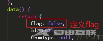 定义flag