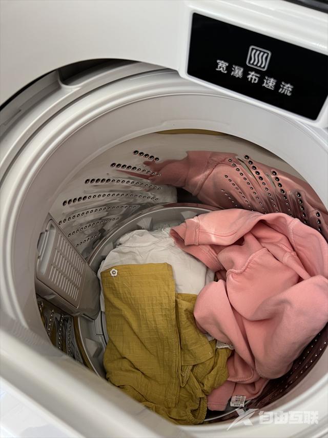 全自动波轮洗衣机哪个牌子好（波轮洗衣机买松下好吗）(10)