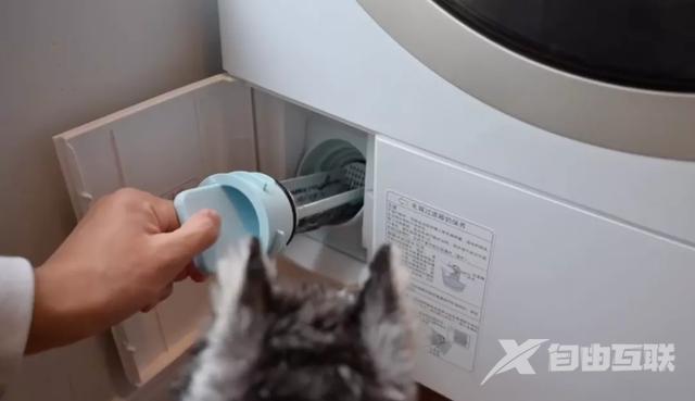 带烘干功能的洗衣机哪个品牌好（什么样的烘干机好用）(13)