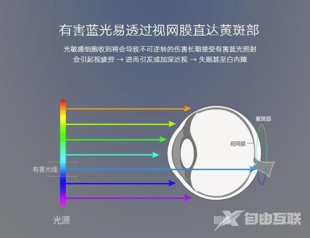 飞利浦电视质量怎么样（现在的飞利浦电视还值得买吗）(2)