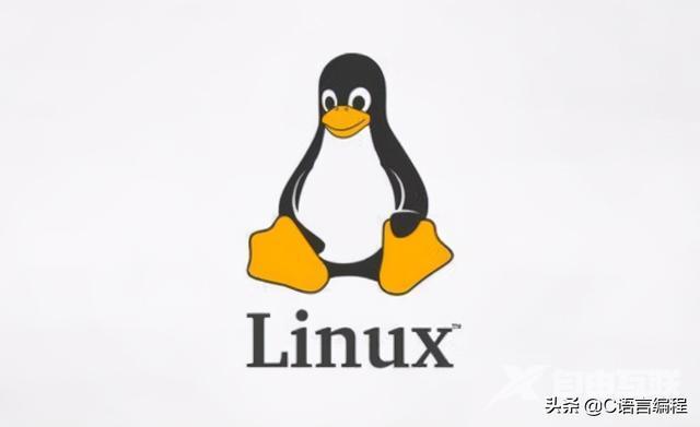 linux是什么语言（linux系统和ubuntu有什么区别）(2)