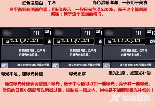 如何使用单反相机（自学单反相机入门图解）(2)