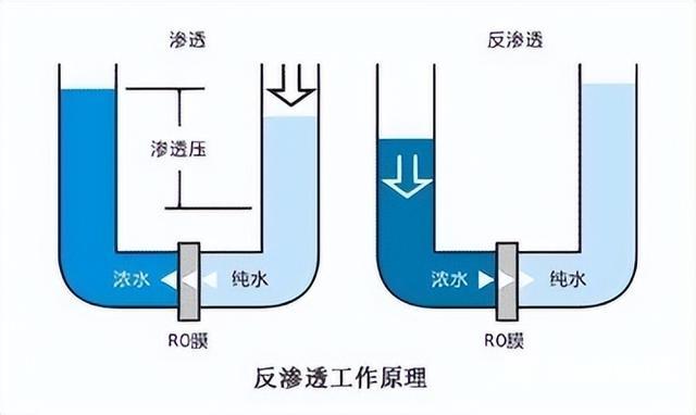 净水器的构造原理图解（净水器的原理是什么）(4)