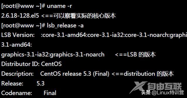 linux常用命令及用法（linux常用命令大全及其详解）(14)