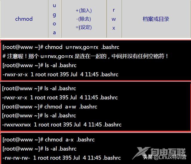 linux常用命令及用法（linux常用命令大全及其详解）(13)