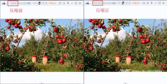 图片管理软件哪个好用（如何压缩图片大小还能保持清晰度）(9)