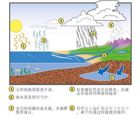 水电站是怎么发电的（水电站发电原理图解）(5)