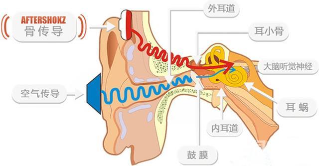 韶音耳机怎么样（韶音AS800体验评测）(11)