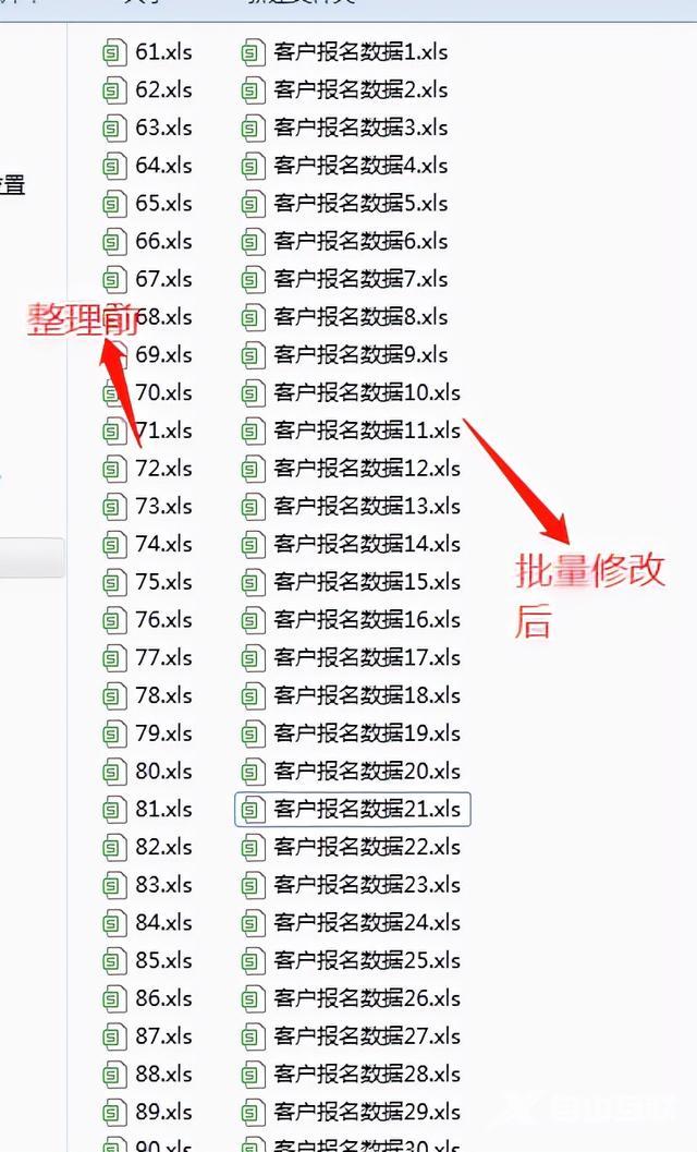 怎么批量重命名文件名（文件夹里的文件怎么统一改名称）(5)