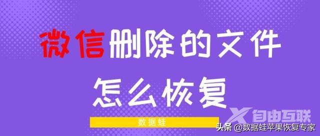 微信文件删除了怎么恢复（如何恢复微信删除的文件和内容）(1)