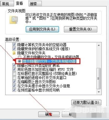 怎么看隐藏文件夹（设置显示隐藏文件夹步骤）(4)