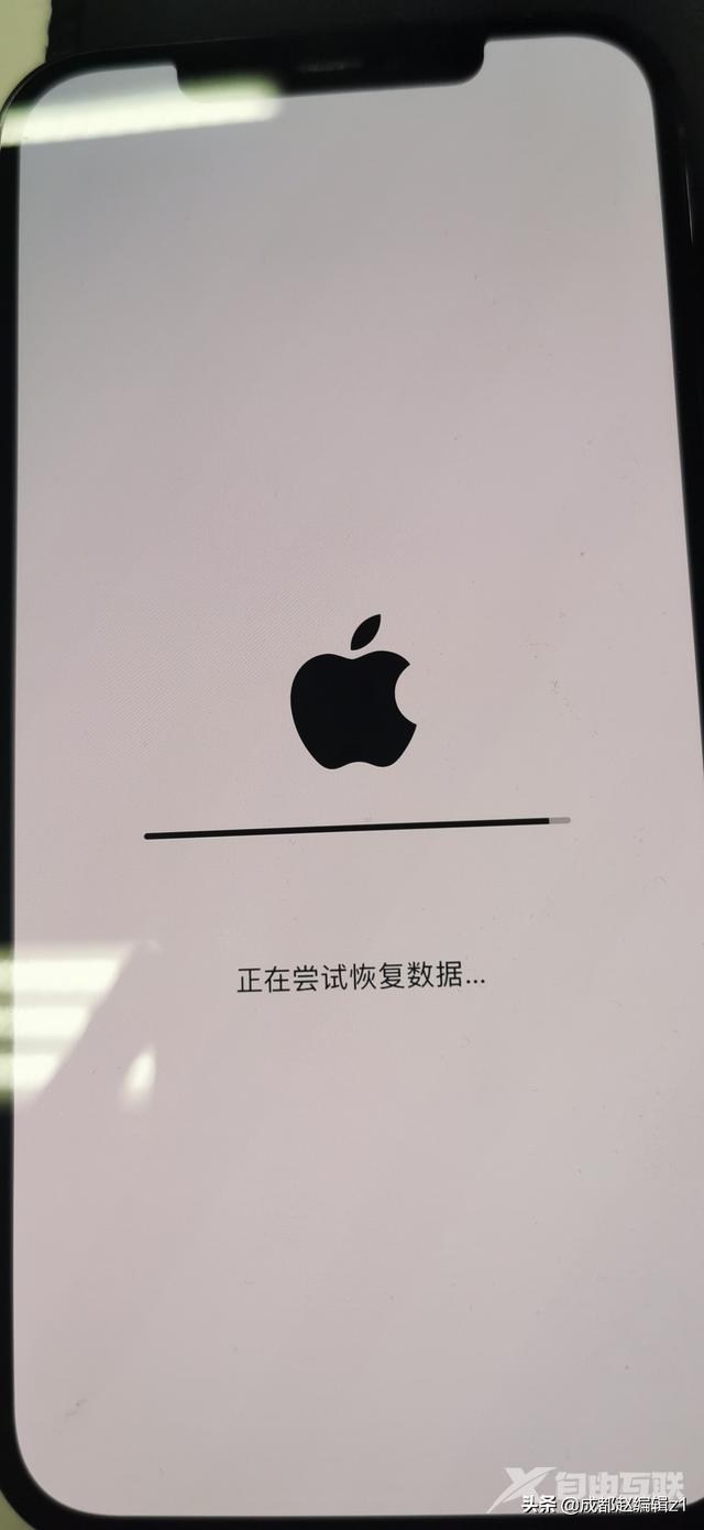 苹果12白苹果的简单修复方法（iphone 12 pro max白苹果怎么办）(6)