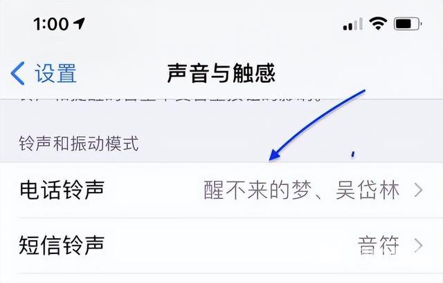 苹果手机铃声怎么设置（iPhone如何快速设置自定义铃声）(6)