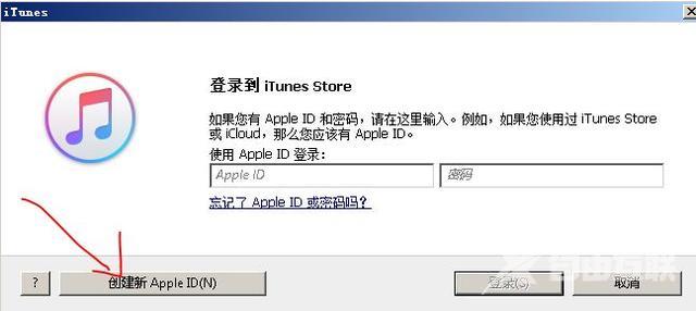 苹果id怎么注册步骤（注册苹果手机id账号流程）(4)