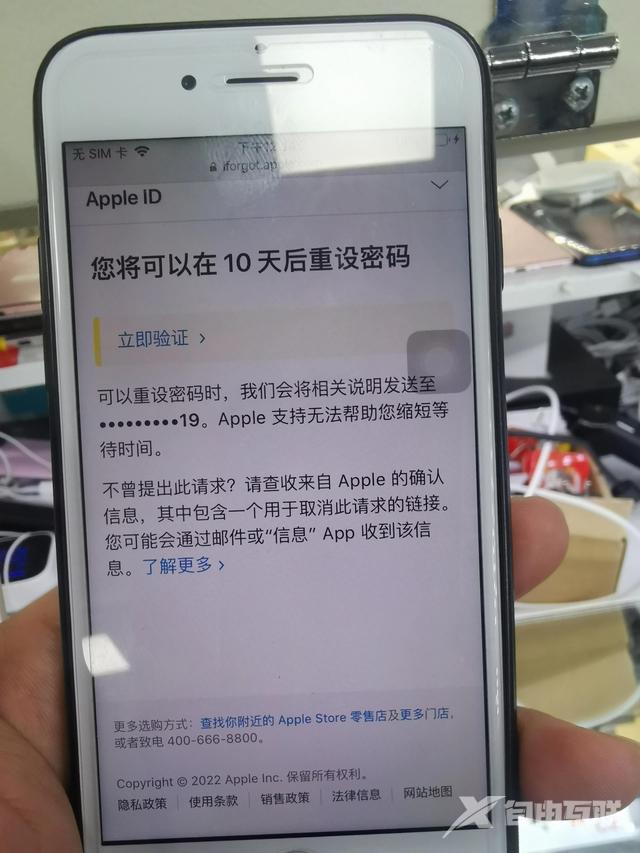 apple id密码忘了怎么办（苹果id密码忘记了如何解决）(5)