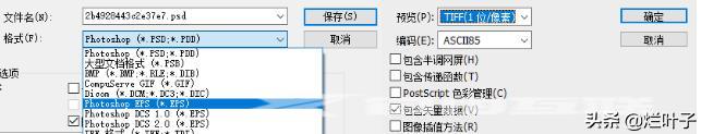 怎么转换矢量图格式（转换矢量图的几种方法与技巧）(5)