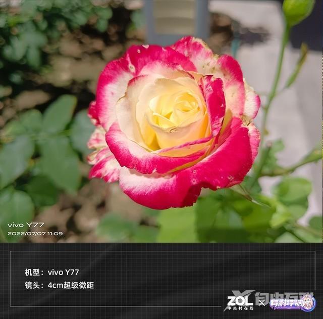 vivo y77手机怎么样（vivo y77测评值得购买吗）(26)