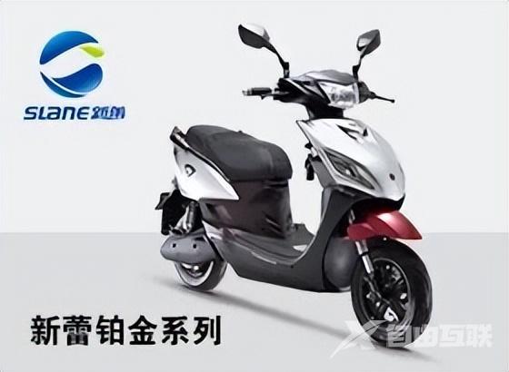 电动自行车什么牌子最好（2022“十大电动车品牌榜”排名揭晓）(6)