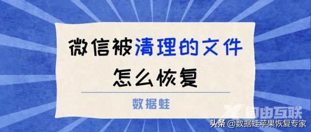 如何找回微信被清理的文件（过期或被清理的文件恢复方法）(1)